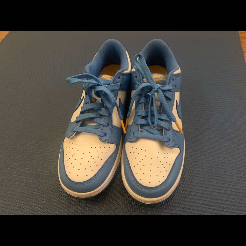 Nike Dunk Coast